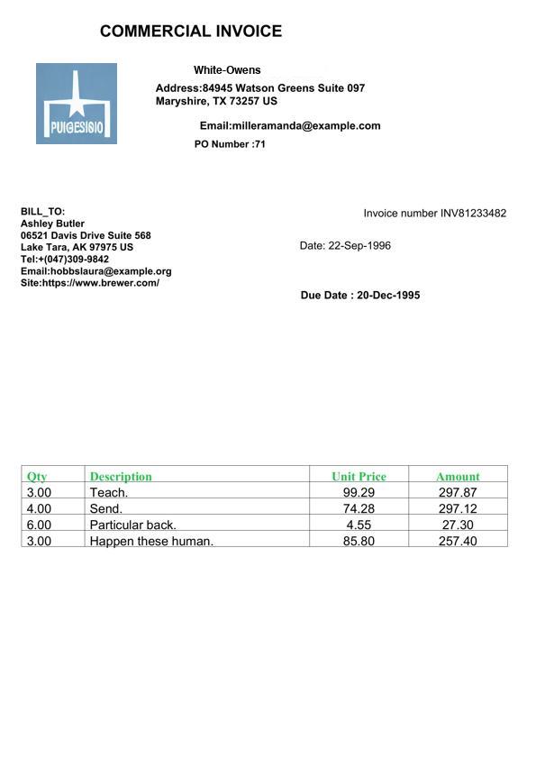 FATURA test invoice from layout 42 (Template42_Instance198.jpg)